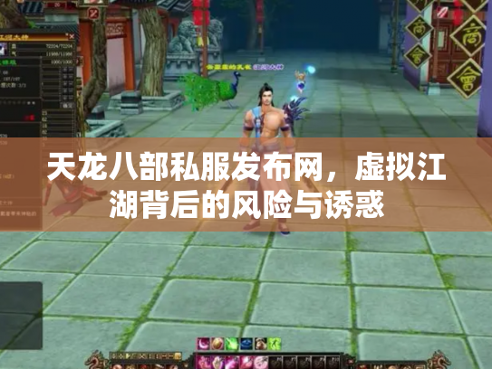 天龙八部私服发布网，虚拟江湖背后的风险与诱惑
