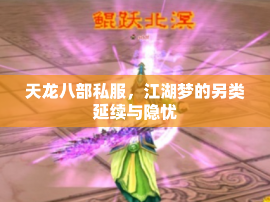 天龙八部私服，江湖梦的另类延续与隐忧