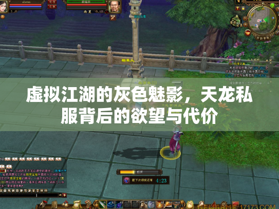 虚拟江湖的灰色魅影，天龙私服背后的欲望与代价