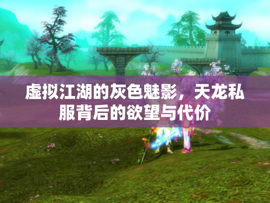 虚拟江湖的灰色魅影，天龙私服背后的欲望与代价