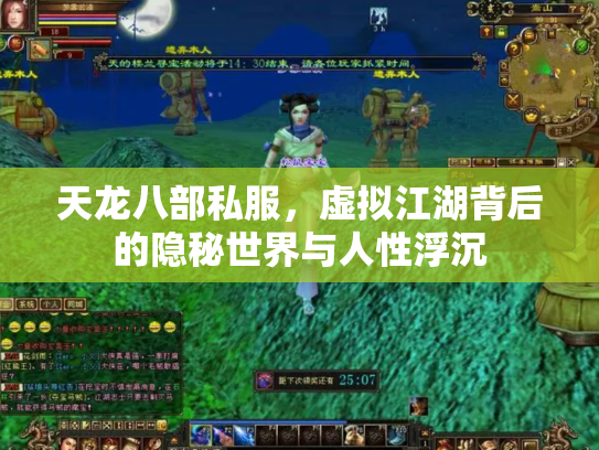 天龙八部私服，虚拟江湖背后的隐秘世界与人性浮沉