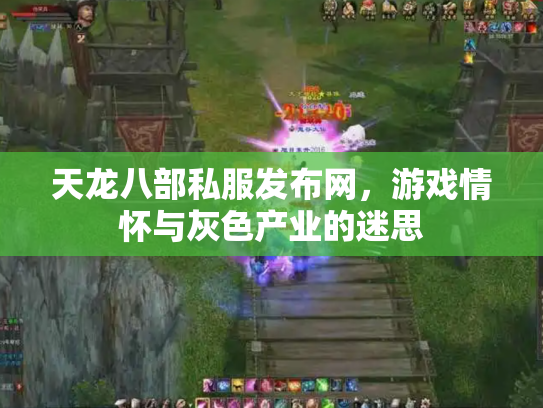 天龙八部私服发布网，游戏情怀与灰色产业的迷思