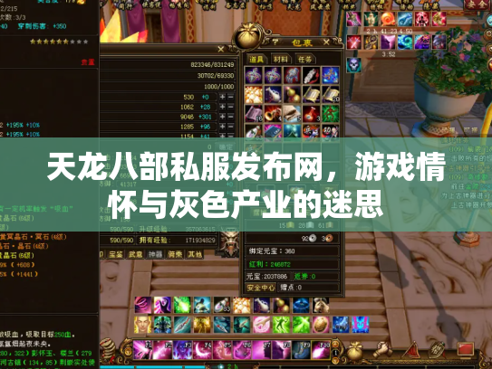 天龙八部私服发布网，游戏情怀与灰色产业的迷思