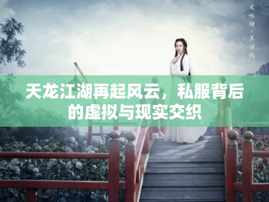 天龙江湖再起风云，私服背后的虚拟与现实交织