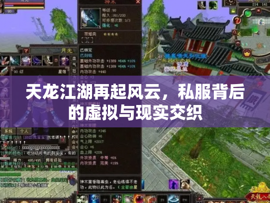 天龙江湖再起风云，私服背后的虚拟与现实交织