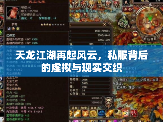 天龙江湖再起风云，私服背后的虚拟与现实交织