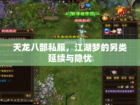 天龙八部私服，江湖梦的另类延续与隐忧