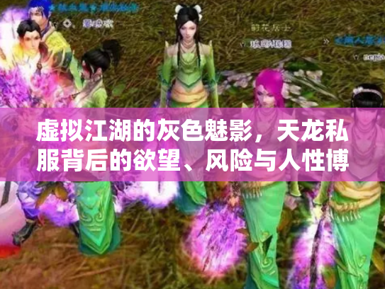 虚拟江湖的灰色魅影，天龙私服背后的欲望、风险与人性博弈