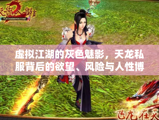 虚拟江湖的灰色魅影，天龙私服背后的欲望、风险与人性博弈