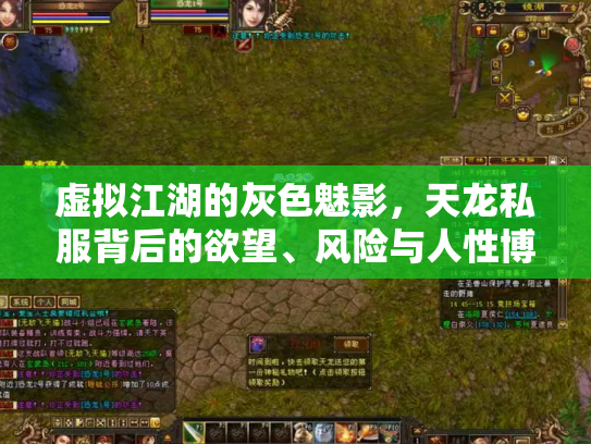 虚拟江湖的灰色魅影，天龙私服背后的欲望、风险与人性博弈