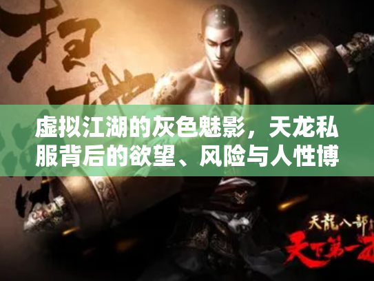 虚拟江湖的灰色魅影，天龙私服背后的欲望、风险与人性博弈