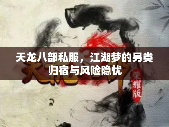 天龙八部私服，江湖梦的另类归宿与风险隐忧