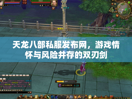 天龙八部私服发布网，游戏情怀与风险并存的双刃剑