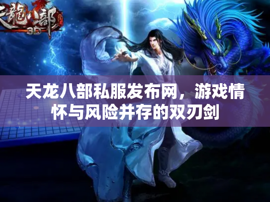 天龙八部私服发布网，游戏情怀与风险并存的双刃剑