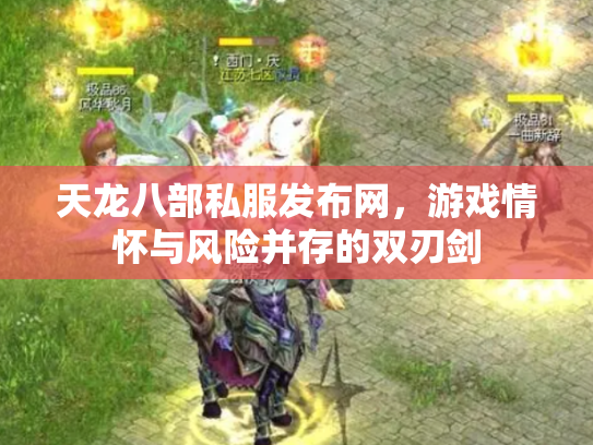 天龙八部私服发布网，游戏情怀与风险并存的双刃剑