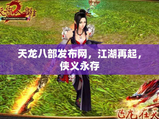 天龙八部发布网，江湖再起，侠义永存