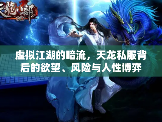 虚拟江湖的暗流，天龙私服背后的欲望、风险与人性博弈