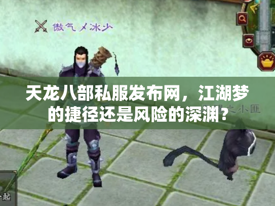 天龙八部私服发布网，江湖梦的捷径还是风险的深渊？