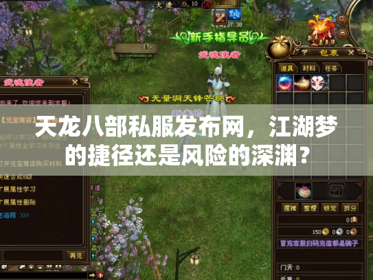 天龙八部私服发布网，江湖梦的捷径还是风险的深渊？