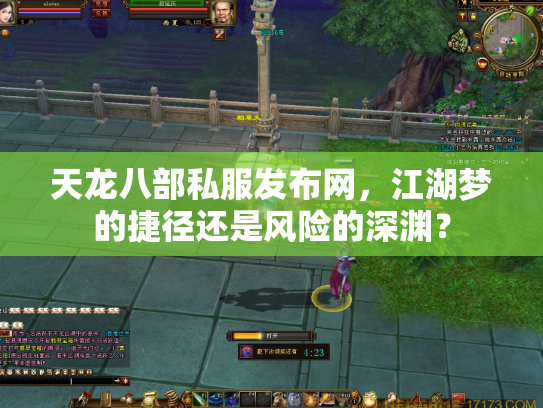 天龙八部私服发布网，江湖梦的捷径还是风险的深渊？