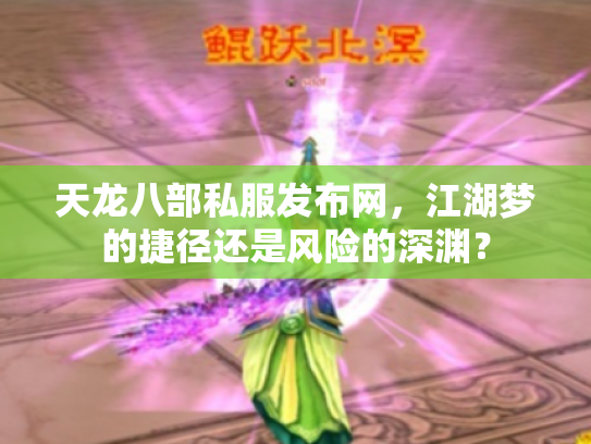 天龙八部私服发布网，江湖梦的捷径还是风险的深渊？