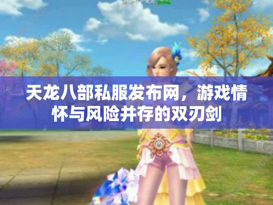 天龙八部私服发布网，游戏情怀与风险并存的双刃剑