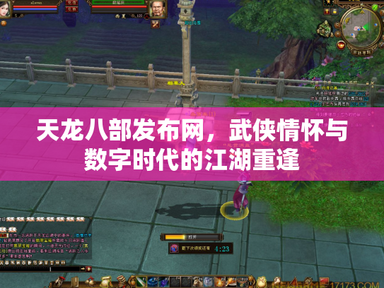 天龙八部发布网，武侠情怀与数字时代的江湖重逢