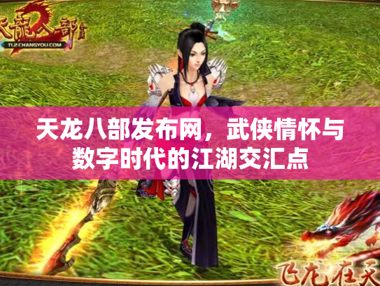 天龙八部发布网，武侠情怀与数字时代的江湖交汇点