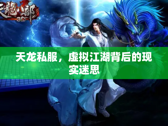 天龙私服，虚拟江湖背后的现实迷思