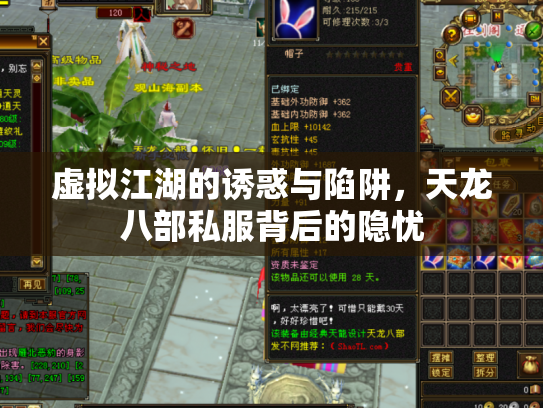 虚拟江湖的诱惑与陷阱，天龙八部私服背后的隐忧