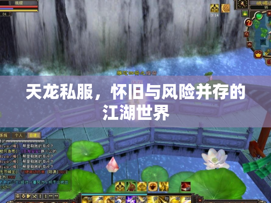 天龙私服，怀旧与风险并存的江湖世界