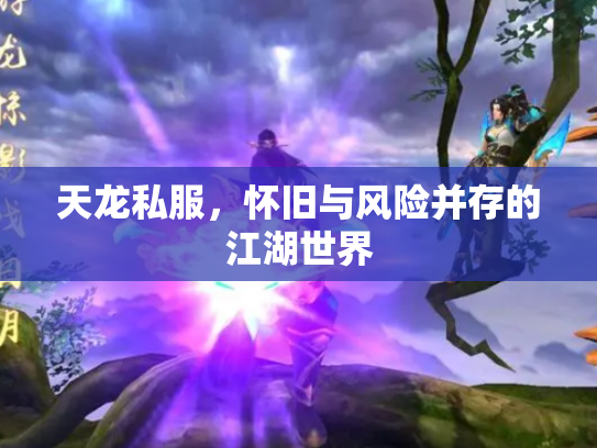 天龙私服，怀旧与风险并存的江湖世界