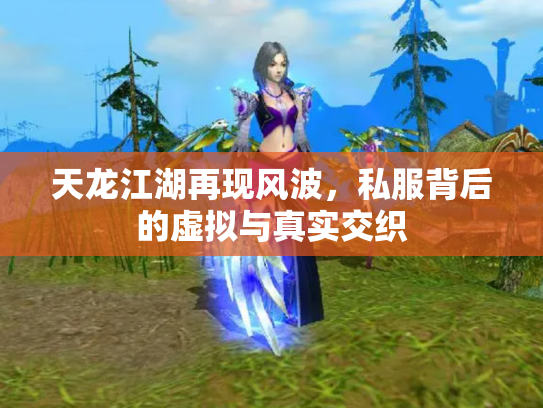 天龙江湖再现风波，私服背后的虚拟与真实交织