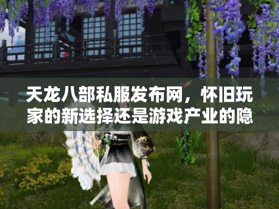 天龙八部私服发布网，怀旧玩家的新选择还是游戏产业的隐患？