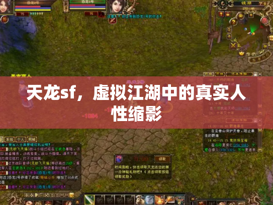 天龙sf，虚拟江湖中的真实人性缩影
