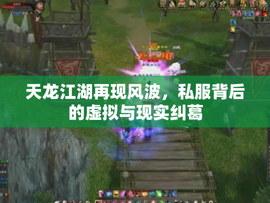 天龙江湖再现风波，私服背后的虚拟与现实纠葛