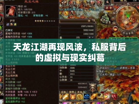 天龙江湖再现风波，私服背后的虚拟与现实纠葛