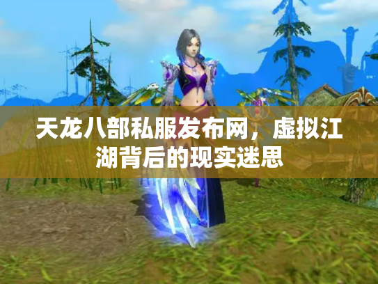 天龙八部私服发布网，虚拟江湖背后的现实迷思