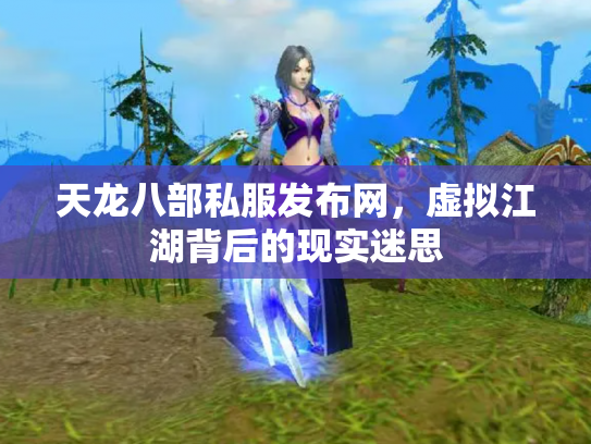 天龙八部私服发布网，虚拟江湖背后的现实迷思