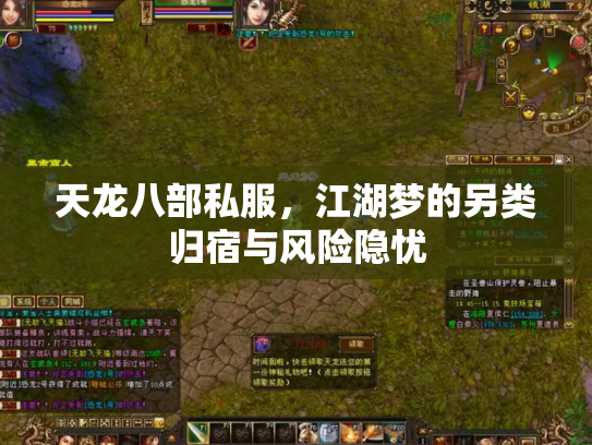 天龙八部私服，江湖梦的另类归宿与风险隐忧