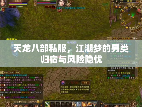 天龙八部私服，江湖梦的另类归宿与风险隐忧