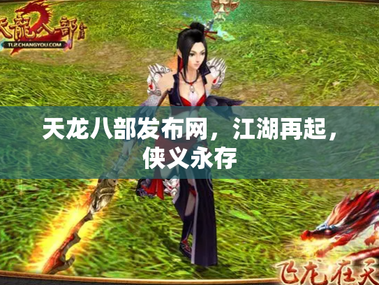 天龙八部发布网，江湖再起，侠义永存