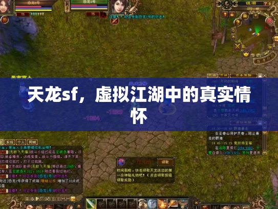 天龙sf，虚拟江湖中的真实情怀