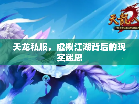 天龙私服，虚拟江湖背后的现实迷思