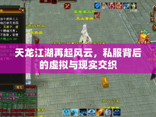 天龙江湖再起风云，私服背后的虚拟与现实交织