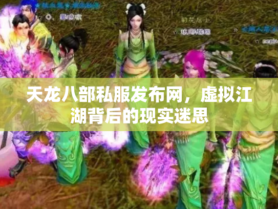 天龙八部私服发布网，虚拟江湖背后的现实迷思