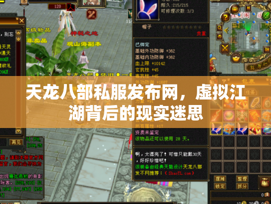 天龙八部私服发布网，虚拟江湖背后的现实迷思