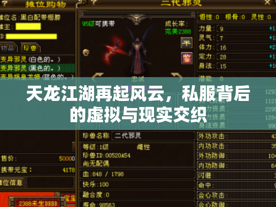 天龙江湖再起风云，私服背后的虚拟与现实交织