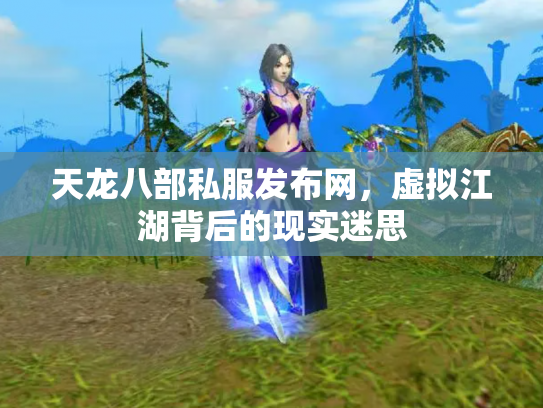 天龙八部私服发布网，虚拟江湖背后的现实迷思