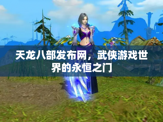 天龙八部发布网，武侠游戏世界的永恒之门